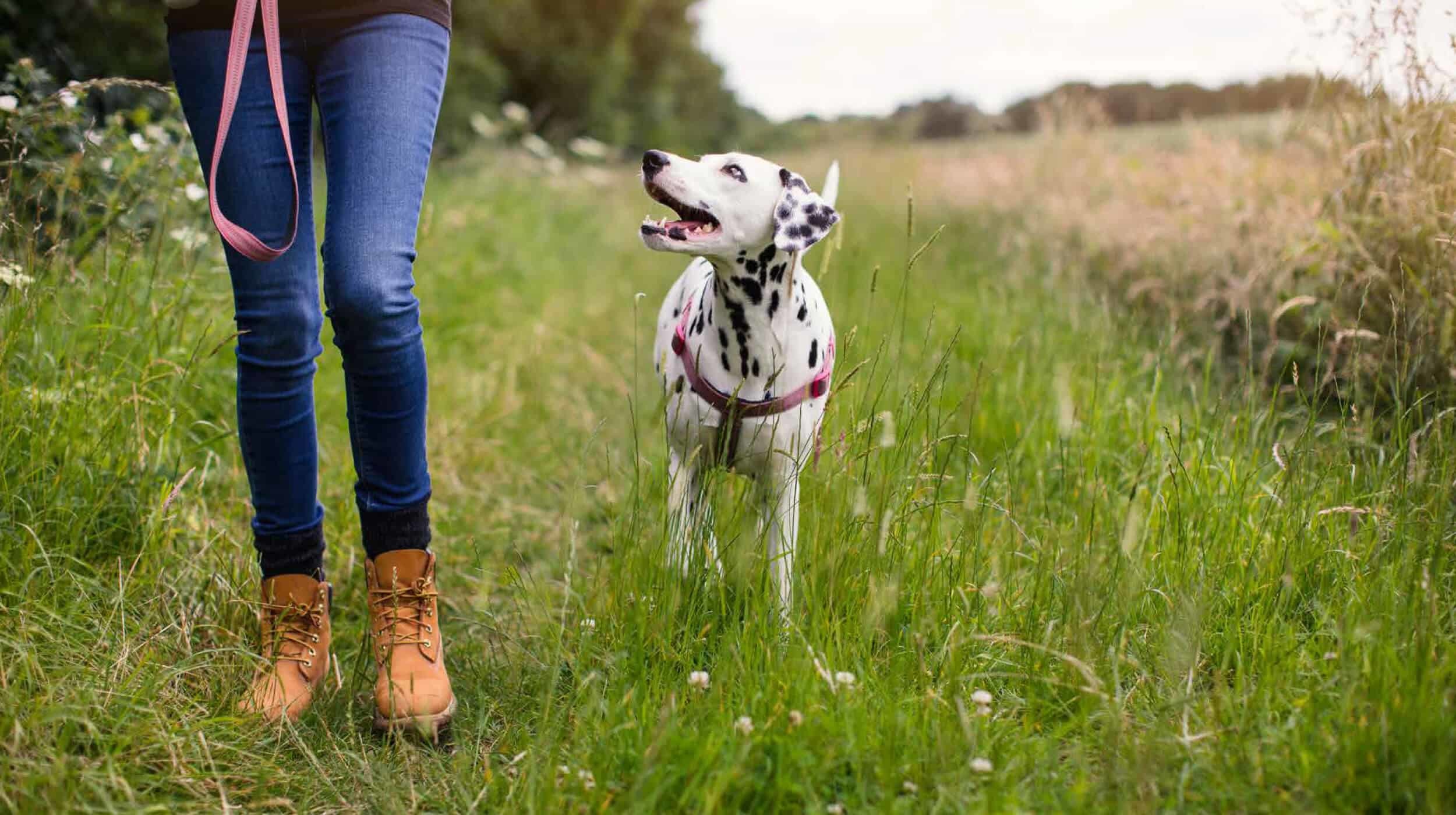 Girl & Dog